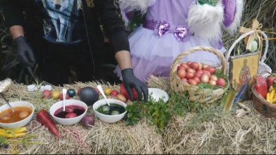 В бургаския зоопарк по традиция боядисват яйца за Великден
