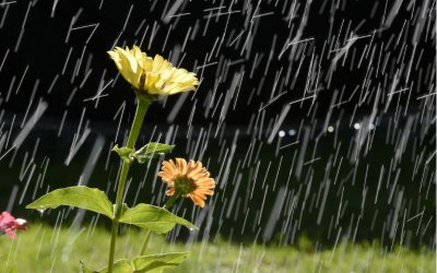 Слънчево време на изток, с гръмотевични бури на запад в четвъртък