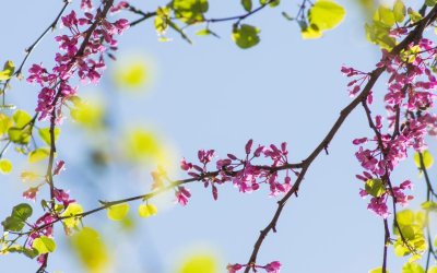 Предимно слънчево време, с превалявания на места