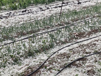 Без ток останаха някои населени места заради проливни дъждове и градушки