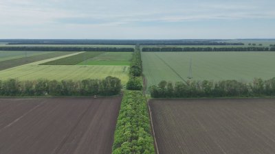 Руши се зелената защита на Добруджа