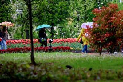 Дъжд и гръмотевици и в петък