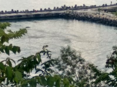 Петна с неясен произход отново се появиха в морето край Варна