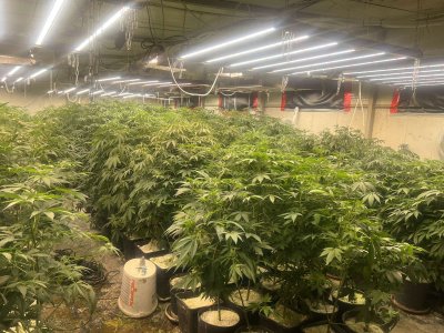 High-Tech Cannabis Greenhouse Uncovered by Police in Burgas Region (PHOTOS)
