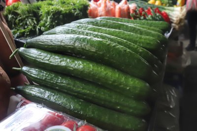 Farmer: Bulgarian Cucumber Production Is Ruined