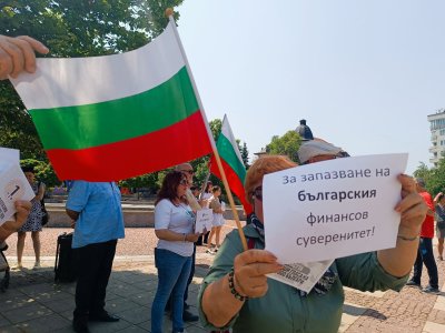 Протести в защита на българския лев в София, Варна и Дупница