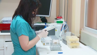 Увеличение на случаите на лайшманиоза в Южна България