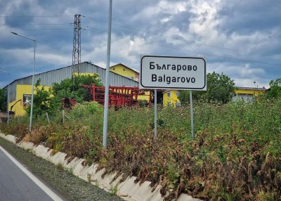 Заради смъртта на куче, влачено с автомобил: Две организации ще протестират в Българово