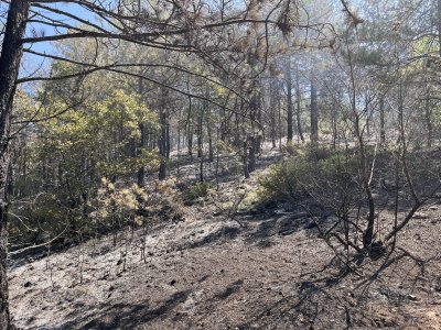 Продължава борбата с пожара над село Илинденци - какви са щетите