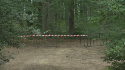 4-ти ден от издирването: Поставят стръв, за да привлекат хищната котка