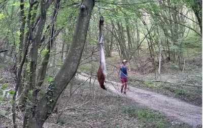 Мъж е забелязан да тича близо до примамка за черния леопард край Шумен