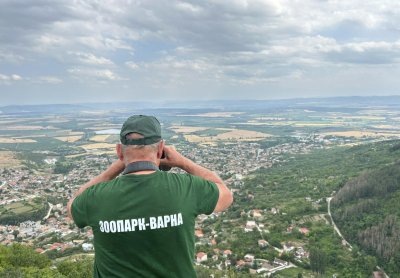 7 КПП-та около "Шуменско плато": Пантерата е била на метри от паметника "Създатели на българската държава" снощи