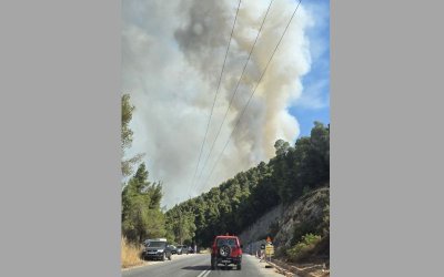 Bulgarian Firefighters Assist Greek Counterparts in Battling Wildfires on Halkidiki Peninsula (PHOTOS)