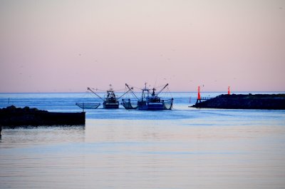 Опасен хищник в Черно море - уловиха риба балон край Севастопол