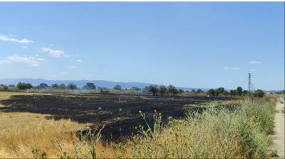 The Fire Near Petrol Station on Trakia Motorway Brought under Control