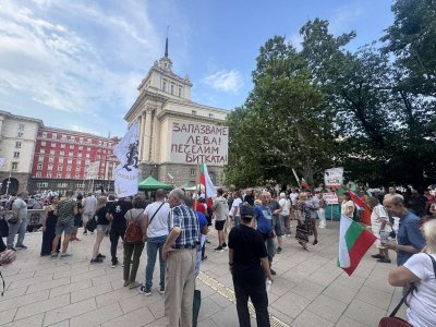 Протест в защита на българския лев в София