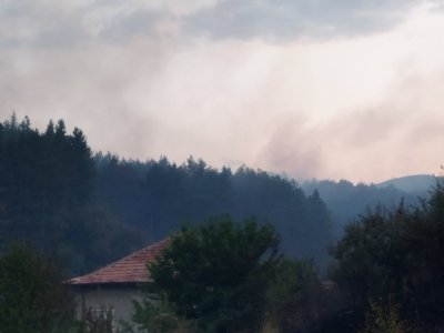 Локализиран е пожарът в дупшнишкото село Палатово