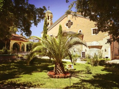 Biblical Botanical Garden Opens in Courtyard of a Temple in Plovdiv