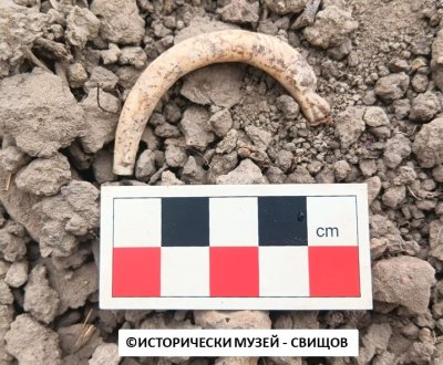 Амулет, изобразяващ крокодил, откриха при разкопки край Свищов