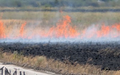 Отново пожар край солниците в Бургас, този път до резервата "Атанасовско езеро"