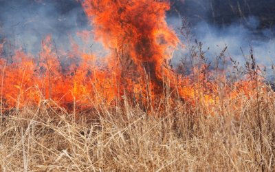 Large Wildfire Near Gorna Spanchevo Village – Homes and Residents Safe