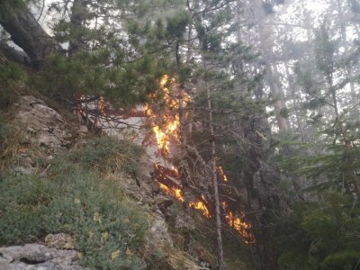 Wildfire is Burning in Pirin National Park (photos)