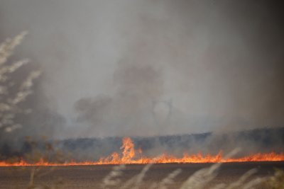 "Дойде огънят и после всичко изгоря": Кой е виновен за пожара в Бургас?