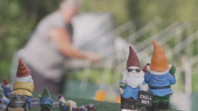 Мистерия с гноми - жена в Норвегия открива десетки фигурки в градината си