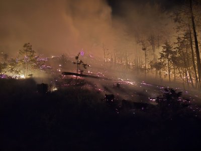 Пожарът в село Илинденци се разраства и обхваща над 200 декара борова гора