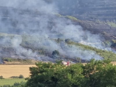 Как да се погрижим за здравето си, ако сме близо до пожар