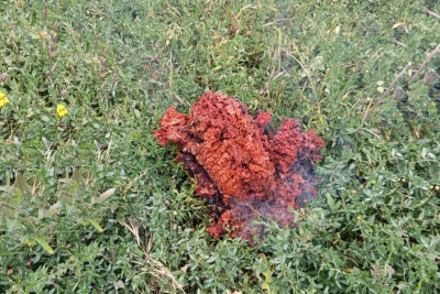 Странното червено вещество, което падна в двор в Якоруда - част от сателит на Илон Мъск