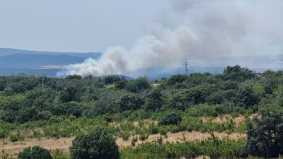 Голям пожар гори между несебърското село Оризаре и язовир "Порой"