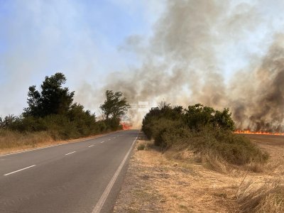 Голям горски пожар затвори пътя през "Петолъчката" в посока Градец