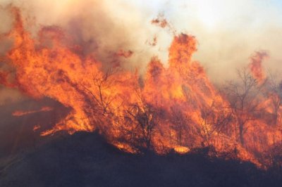 Властите: Огнеборците полагат усилия за гасене на 96 пожара на територията на цялата страна