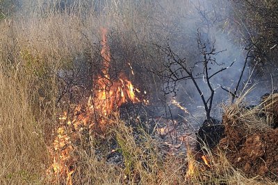 30 пожарни и 100 доброволци се борят с огнената стихия в областите Ямбол и Хасково
