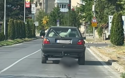 Задържаха мъж от Банско заради проявена жестокост към куче