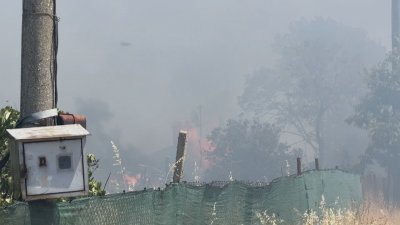 Възстановяват вилна зона "Остриците" след огнения ад в Бургаско