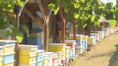 В русенското село Кацелово изграждат първия параклис в пчелин у нас