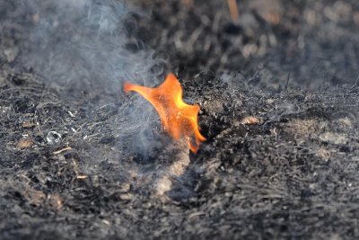  Пожар до жп релсите в с. Величково, предизвикан от игра с огън на 8-годишно дете