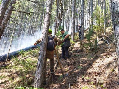 Pirin Mountain Wildfire Contained After 12 Days of Firefighting Efforts