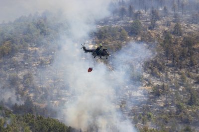 Third Day of Wildfire Battle in Harmanli Region, Flames Advance Towards the "Maritsa" Motorway