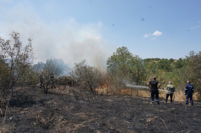 Partial State of emergency in Haskovo Municipality due to Wildfire near the village of Momino