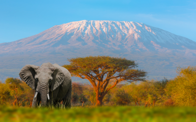 Мисия „Килиманджаро“: учени, младежи и активисти тръгват на върховно изкачване, за да спасят ледниците