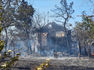 Има задържан за пожара в Българово, огънят е овладян