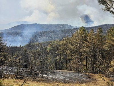 There Are Two Active Fire Zones in Pirin, One of Which is Near the National Park