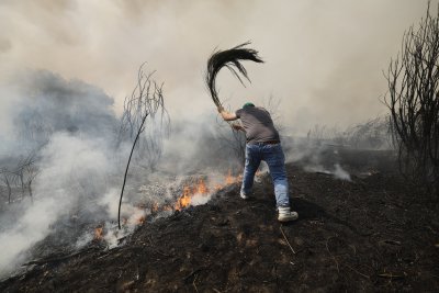 Испания и Португалия остават в плен на горските пожари
