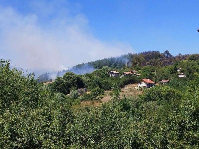 Потушен е пожарът край Банкя, огънят достигна на 20 метра от къщите