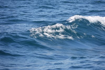 През август морето е най-опасно - съветите на спасителите