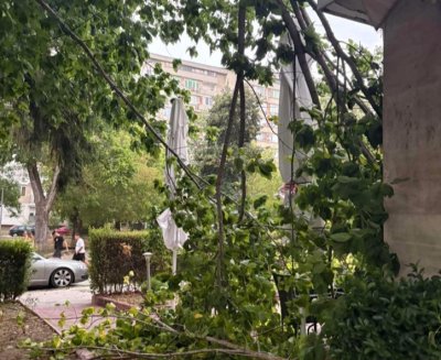 Паднали дървета и сериозни щети остави след себе си бурята в Северозападна България