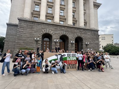 Протест срещу клетките за телета!